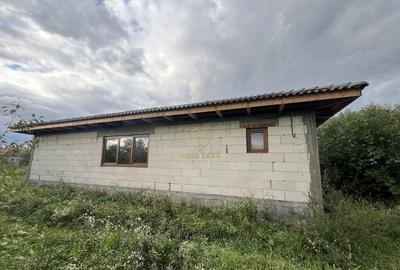 Casă cu 3 camere cu Teren 3800 Mp în Peleș - 12