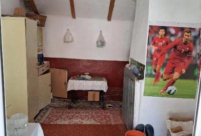 Casă cu Teren 3786 Mp în Sudiți - 8