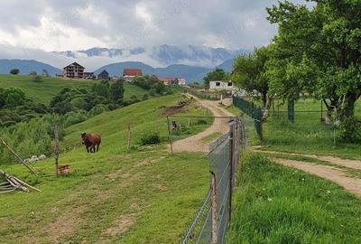 Spațiu comercial, în Peștera - 4