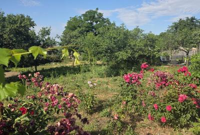 Casă cu 4 camere în Florica - 1