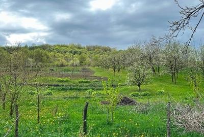Vand teren la țarǎ cu casa veche - 1