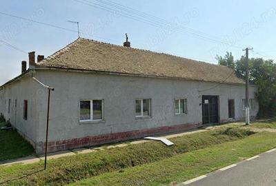 Casă cu 8 camere cu Teren 1250 Mp în Cenad - 2