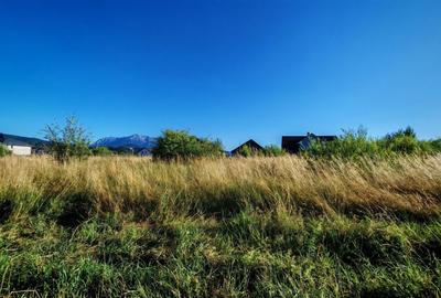 Teren intravilan 1000 mp pt construcții case Cristian str Nisipului - 3