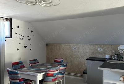 Casa P+M, Mihaesti-Barsesti - 13