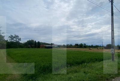 De vanzare teren intravilan 1.080 mp cu utilita?i Dob - 1