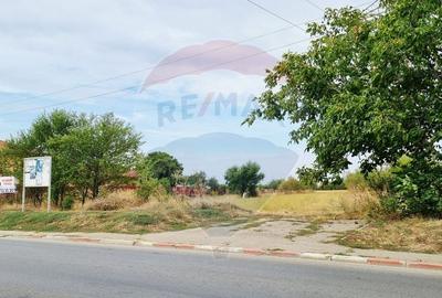 Vanzare Teren Balotesti / Strada I. C. Bratianu - 4