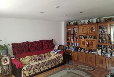 Casă cu 2 camere în Bradu - 7