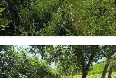 Teren Duda Epureni, ID: R2609594 - 11