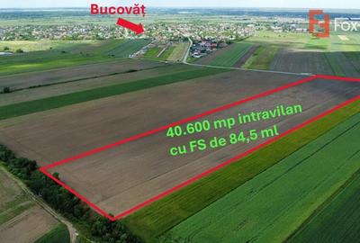 COMISION 0% Teren intravilan 40.600 mp cu front de 84,5 ml, zona Bucovat - 2