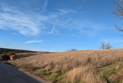 Teren de 1800 mp, în Beba Veche - 6