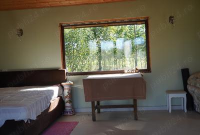 Casa cu cel mai frumos teren de 3800 m din Tataresti jud. Satu Mare - 4