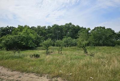 3000 m2 plasat exceptional, vest de Voluntari 3000 m2 plasat exceptional, vest de Voluntari - 8