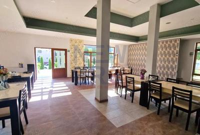 Domeniu Imobiliar de Elita: 14.000 mp Teren, Pensiune, SPA ?i Centru Evenimente - 9