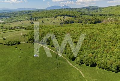 Teren agricol extravilan de 1500 mp, în Codlea - 7