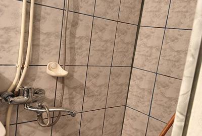 Inchiriez garsoniera in valea aurie - 3