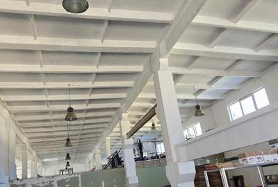 Hala circa 350 mp , zona Borsului , ocupabila imediat Hala circa 350 mp , zona Borsului , ocupabila imediat - 3