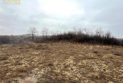 Teren Construcții extravilan de 905 mp, în Sigmir - 3