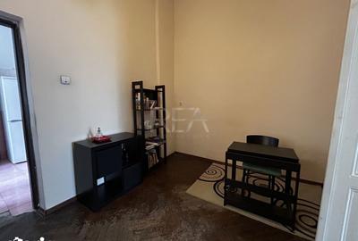 Apartament cu 3 camere, mobilat în Parcul Carol - 11