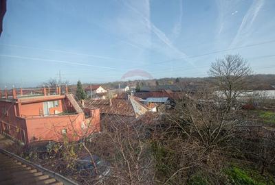 Casa 9 camere de vanzare 1200mp teren Cornetu Padure Lac Mihailesti - 28