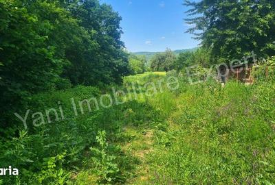 Teren de 7229 mp, în Băiculești - 6