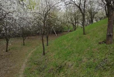 Vand teren intravilan , cultura de vie si casa batraneasca - 9