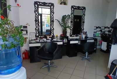 Spațiu comercial, de 26.10000038147 mp, în Alexandriei - 4