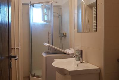 Apartament cu 2 camere decomandat, mobilat în Panduri - 11