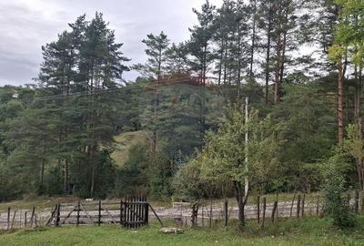 Teren cu priveliste spectaculoasa, 4000mp, la 18km de Sinaia - 11