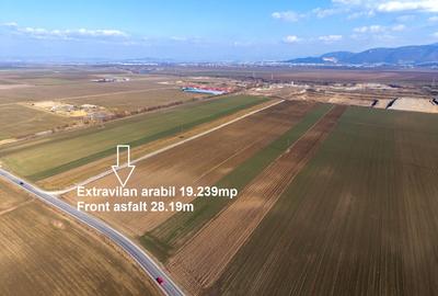 Teren agricol extravilan de 19239 mp, în Vulcan - 2