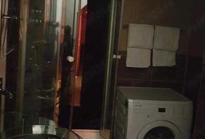 Apartament cu 2 camere decomandat în Craiovița Nouă - 2