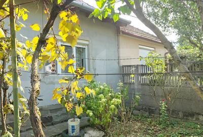 Casa 3 camere 92 mp, 338 mp de teren - 9