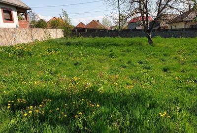 Teren de 1100 mp, în Gârdani - 7