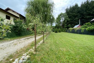 Casa pe parter la liziera padurii, Bascov-Florea, Arges - idealimob.ro - 3