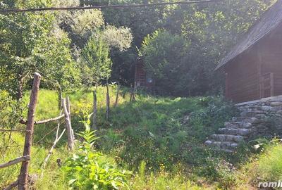 Casă cu 6 camere cu Teren 2700 Mp în Bradu - 6