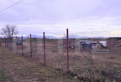 ????? Oportunitate Unica! Teren Ideal pentru Casa cu Pri - 7