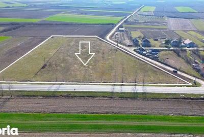 Teren de 14300 mp, în Medieșu Aurit - 6