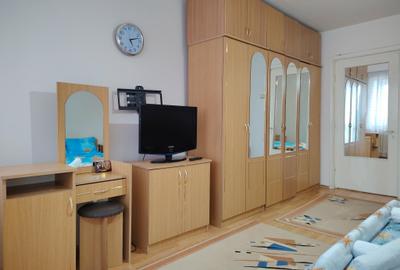 Garsonieră semidecomandată, mobilată în Brazda lui Novac - 2