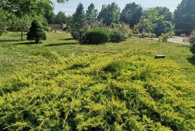 Vilă de lux mobilata/utilata cu terasa+foisor, garaj,gradina si livada - 13