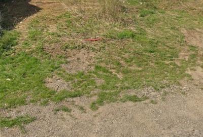 Teren Construcții intravilan de 500 mp, în Frumușani - 2