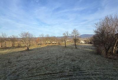 Doua case pe acela?i teren, 180 mp utili, 25 ari, ?indre? - 1