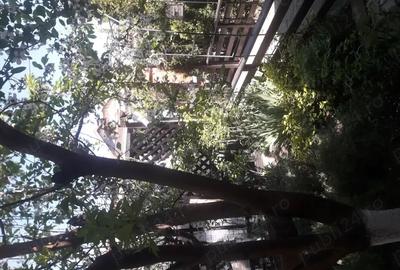 Casă cu 3 camere în Lumina - 2