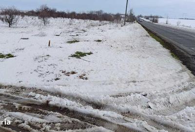 Teren de 2500 mp, în Frumușani - 4