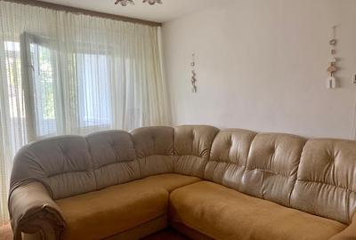 Apartament cu 2 camere semidecomandat, mobilat în Păcurari - 5