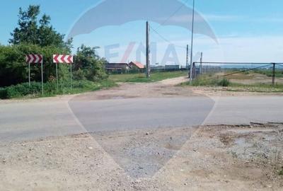 Teren Construcții intravilan de 2374 mp, în Cheriu - 6