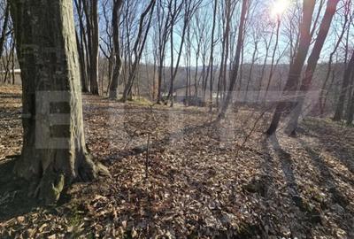 Teren de 1100 mp, în Făget - 2