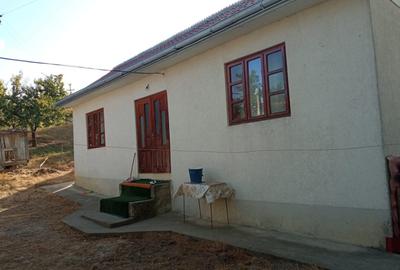 Casă de vânzare Blândești -Botosani - 1
