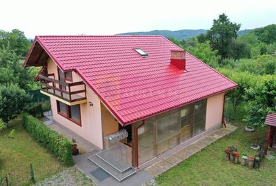 Vila de vanzare in Brebu  - Zona Brebu Megiesesc - 1