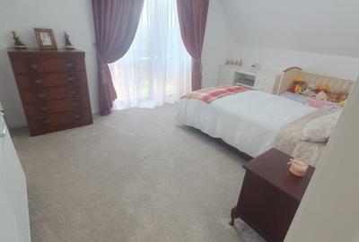 Casa  moderna mobilata cu beci 165mp +3000mp teren Cotnari - 19