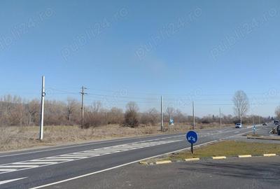 Teren de 20000 mp, în Valea Ursului (Tâmna) - 2