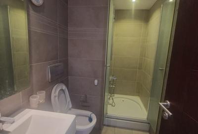 Garsonieră nedecomandată în Dristor - 3